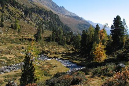 Debanttal Osttirol - Idyllisches Hochtal © TVB Osttirol / Nationalpark Hohe Tauern 